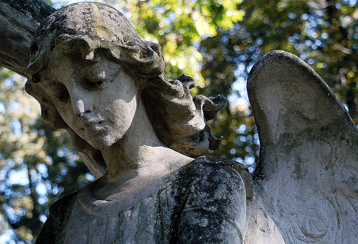 24 Lipoa anioł smutek